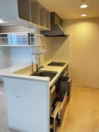 仙台市宮城野区新田東、マンションのキッチン画像です