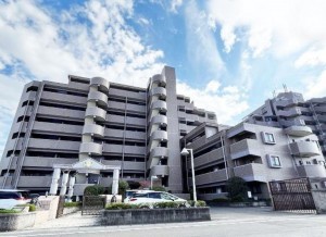 仙台市宮城野区新田、マンションの外観画像です