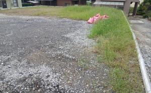 仙台市宮城野区燕沢東、土地の画像です