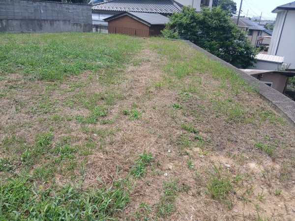 多賀城市浮島、土地の画像です