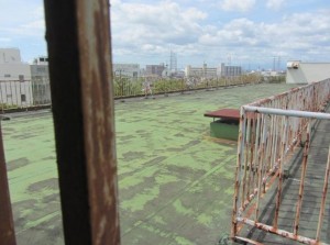 多賀城市桜木、収益物件/アパートの画像です