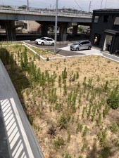 塩竈市南錦町、新築一戸建ての画像です