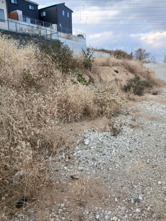 仙台市宮城野区燕沢東、土地の画像です