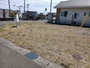 仙台市宮城野区新田、土地の画像です