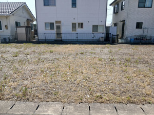 仙台市宮城野区新田、土地の画像です