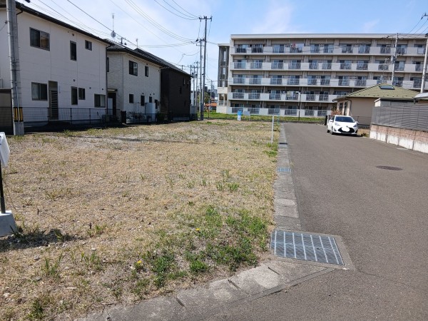 仙台市宮城野区新田、土地の画像です