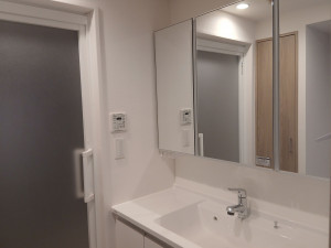 仙台市宮城野区新田、マンションの洗面画像です