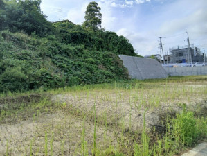 仙台市宮城野区岩切、土地の前面道路を含む現地写真画像です