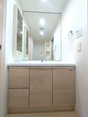 八千代市大和田新田、マンションの洗面画像です
