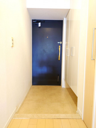 八千代市大和田新田、マンションの玄関画像です