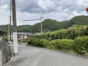 川西市緑が丘、土地の画像です