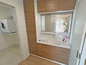 川西市緑台、新築一戸建ての洗面画像です