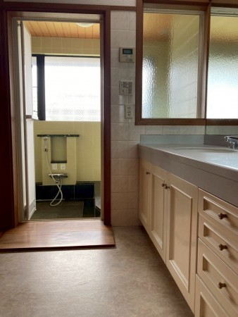 川西市矢問、中古一戸建ての洗面画像です