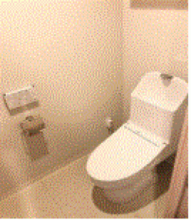 川西市丸山台、マンションのトイレ画像です