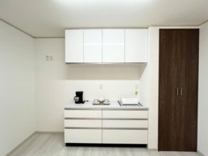 川西市東久代、新築一戸建てのキッチン画像です