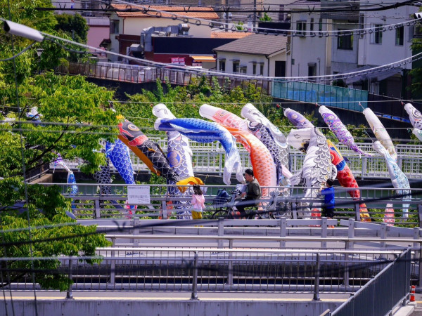 豊中市熊野町、収益物件/マンションのその他環境写真画像です