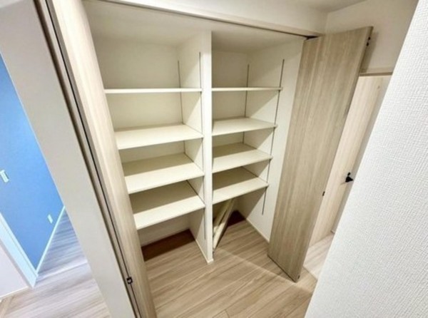 川西市緑台、新築一戸建ての収納画像です