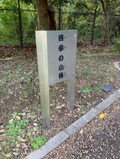 川西市清和台、中古一戸建ての周辺画像画像です