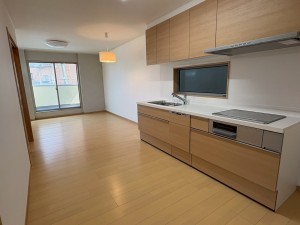 川西市丸の内町、新築一戸建てのキッチン画像です
