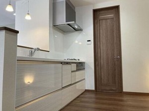 川西市緑台、新築一戸建てのキッチン画像です