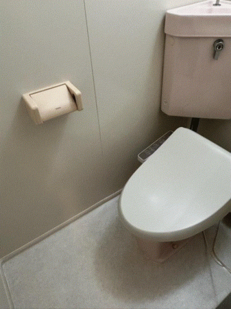 川西市清和台、マンションのトイレ画像です