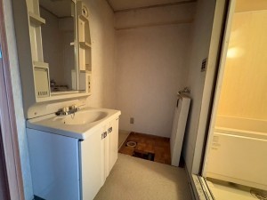 川西市向陽台、マンションの洗面画像です