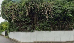 川西市緑台、土地の外観画像です