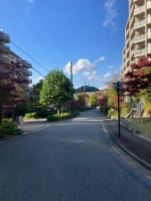 川西市丸山台、マンションの前面道路を含む現地写真画像です