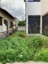 川西市新田、マンションの画像です