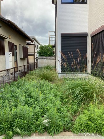 川西市新田、マンションの画像です