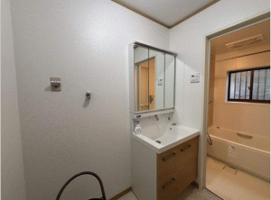 川西市西畦野、収益物件/その他の洗面画像です