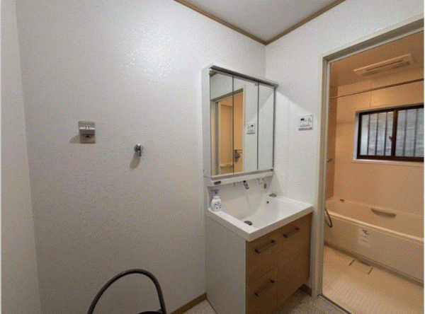 川西市西畦野、収益物件/その他の洗面画像です