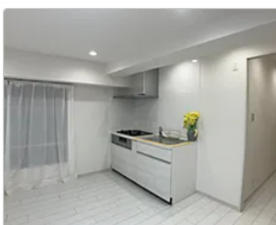 八王子市南町、マンションのキッチン画像です