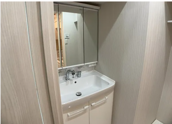 八王子市南町、マンションの洗面画像です