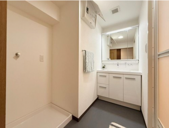 八王子市明神町、マンションの洗面画像です