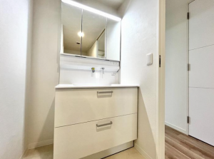 八王子市北野町、マンションの洗面画像です