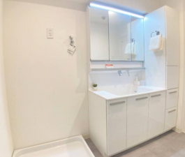 八王子市追分町、マンションの洗面画像です