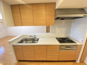 八王子市千人町、マンションの画像です