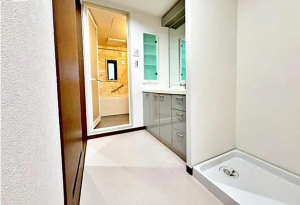 八王子市子安町、マンションの画像です