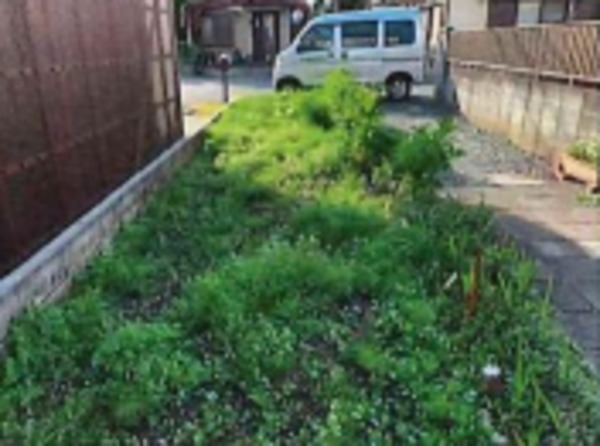 八王子市楢原町、土地の画像です