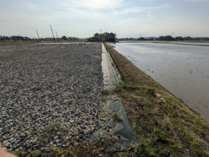 砺波市宮森、土地の外観画像です