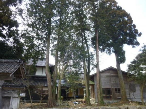 砺波市頼成、中古一戸建ての外観画像です
