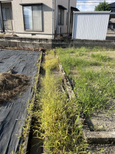 南砺市柴田屋、土地の外観画像です