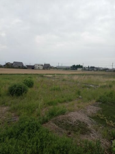 砺波市秋元、土地の外観画像です