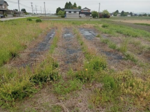 砺波市秋元、土地の外観画像です