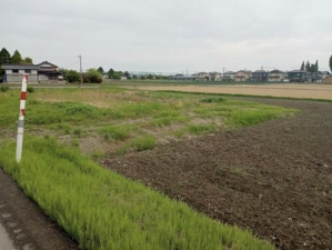 砺波市秋元、土地の外観画像です