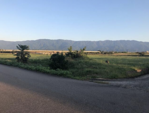 南砺市竹林、土地の外観画像です