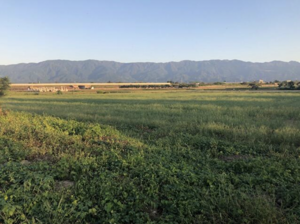 南砺市竹林、土地の外観画像です