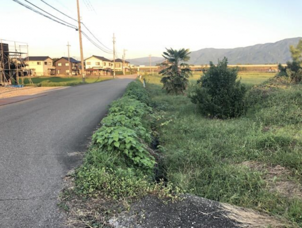 南砺市竹林、土地の外観画像です