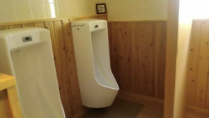 南砺市下梨、中古一戸建てのトイレ画像です
